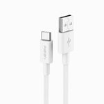 PISEN Vivid Series Type-C Braided Data Charging Cable AC03-1000 - PisenBiz